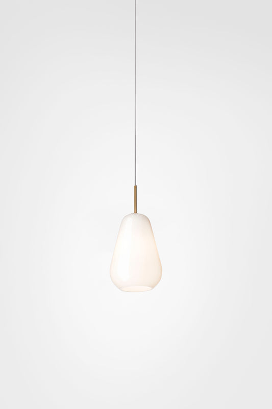 ANOLI 1